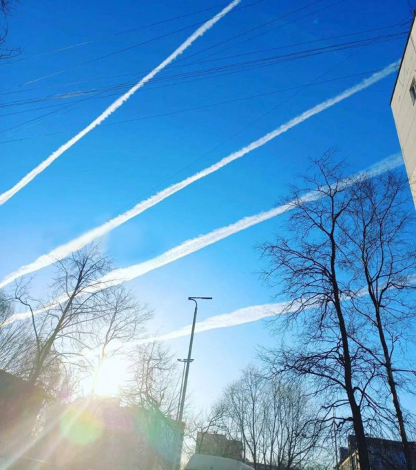 Фото (Пролет) дня.