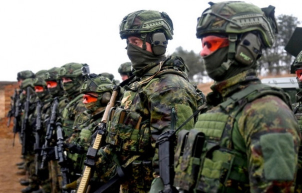 В Европе запахло «вторым фронтом» спецоперации