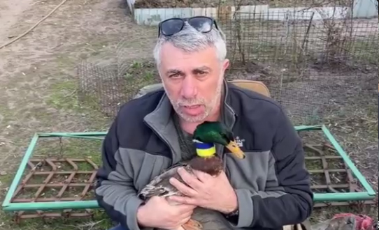 Соскучились за Комаровским? А он оказывается с ума сошёл