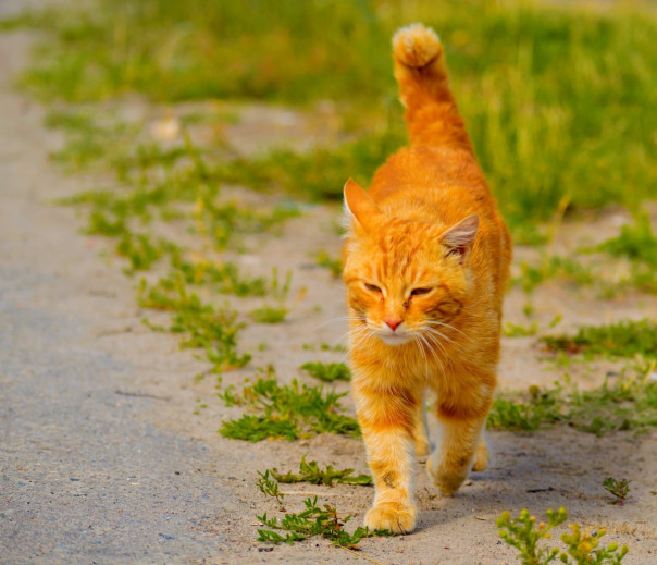 Единственный вышедший из Азовстали по гуманитарному коридору