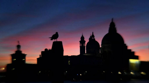 Италия ввела новые правила для госучреждений ради экономии энергии в жару