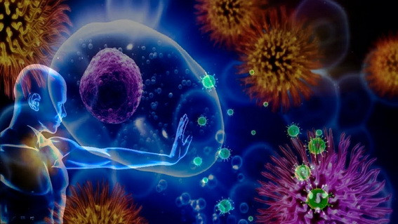 А.В.Росич. Коротко о холере и чуме