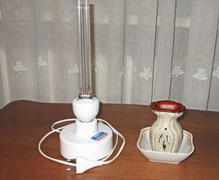 А.В.Росич. Коротко о холере и чуме