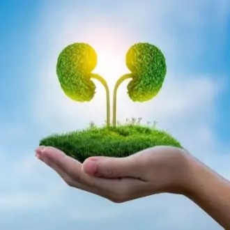 Дистанционная литотрипсия