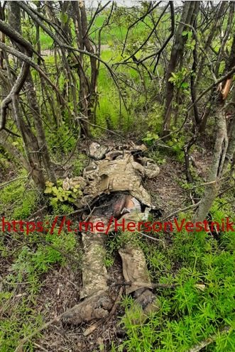 Под Херсоном утилизирована группа 73-го морского центра ССО Украины