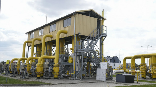 В Польше выразили готовность помочь странам ЕС отказаться от российских энергоносителей