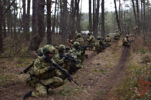 Спецназ Росгвардии ликвидировал лидера ячейки теробороны Украины в Харьковской области