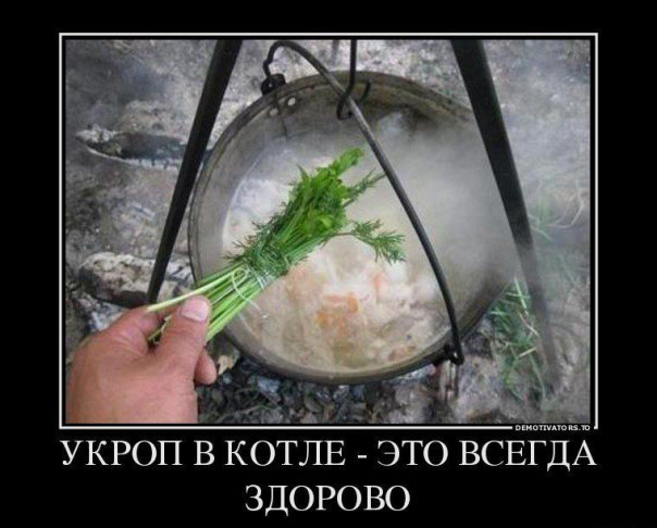 Около двух тысяч украинских военных нечаянно очутились в "котелке" под Лисичанском