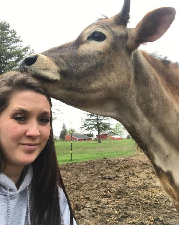 Женщина-фермер привязалась к ласковому быку и спасла его от забоя