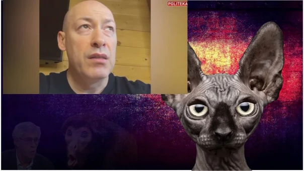 "коТ доступа" с Котом Костяном 24.05.2022