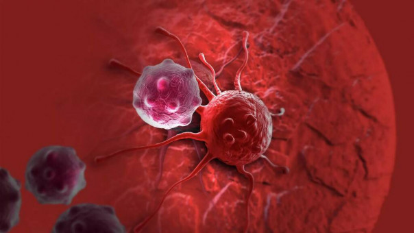 В России начали клинические испытания препарата для лечения рака груди