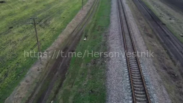 Уничтоженные националисты из 63 бригады ВСУ на Николаево - Херсонском направлении [18+]