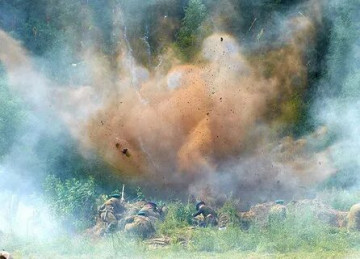 Немного не по шерсти