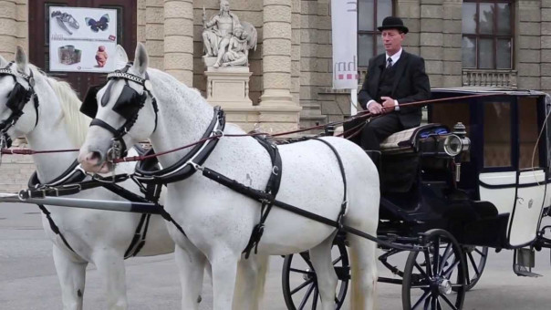 Такси в Вене отказались обслуживать украинцев