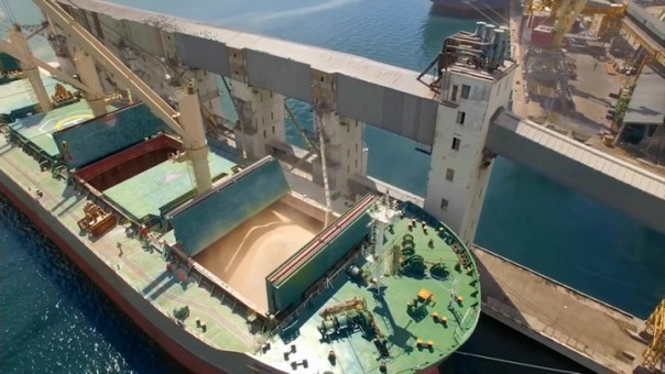 Вывоз зерна с Украины глобально ничего не решит