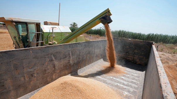 FAZ: для борьбы с продовольственным кризисом Запад хочет использовать Белоруссию — без каких-либо уступок со своей стороны