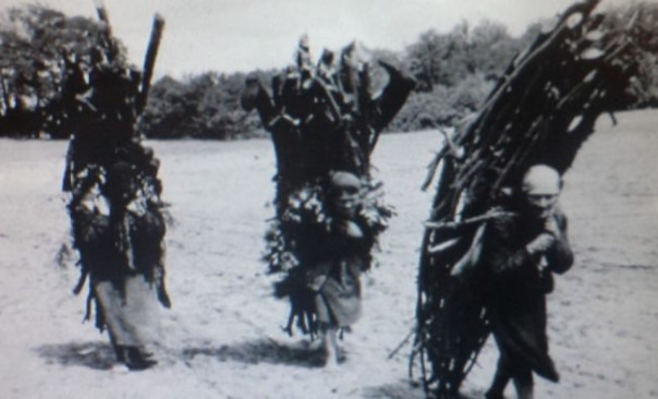 Альтернатива российскому газу: поляки штурмуют леса, или Сбылись сказки Крашевского