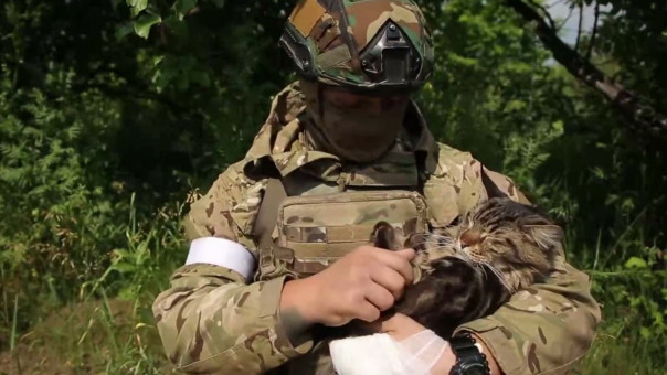 Декiтизация