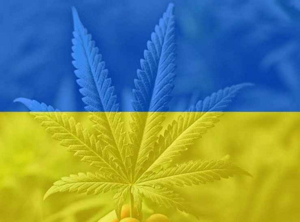 Голос Мордора: Как решить все проблемы Украины