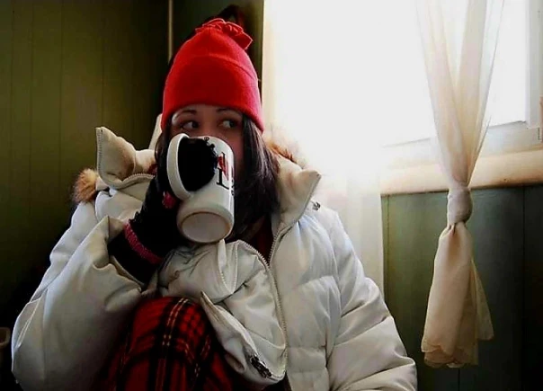 В Германии призвали предстоящей зимой снизить температуру в домах до 16°С для экономии газа. Комментарии немцев