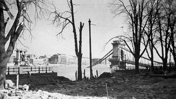 Рассекреченный документ показал, что союзники Гитлера знали, что СССР не планировал напасть первым