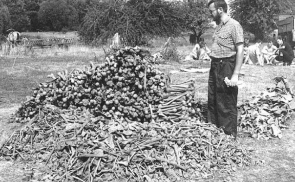 Скоро будем просить у украинцев прощения за Волынь — польский публицист