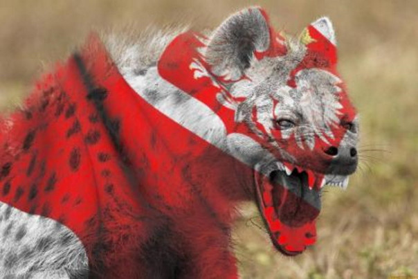 О чём рычит польская гиена
