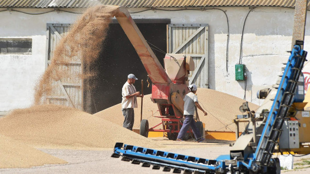 Голодные игры: кому нужны прогнозы о мировом продовольственном кризисе