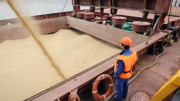 Украинское зерно отправилось вовсе не в Африку и даже не в Сингапур