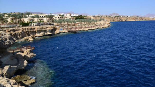 Вторая туристка погибла при нападении акулы в Хургаде