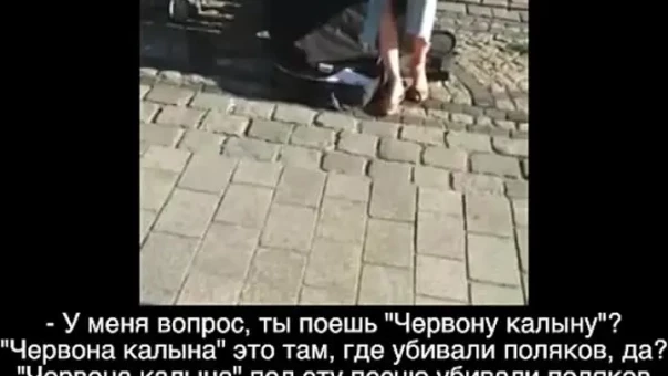 «Ты поёшь «Червона Калына» — под эту песню убивали поляков!»