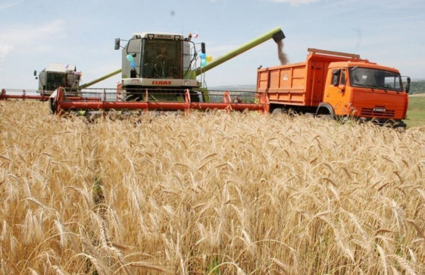 Россия совместно с Турцией борются с зерновым кризисом Запада