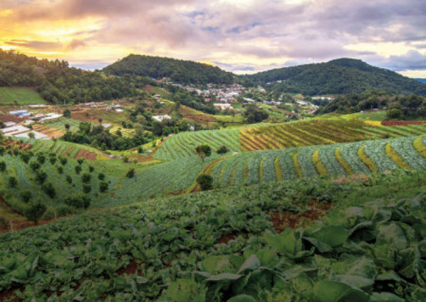 США пытаются вытеснить Россию с глобального рынка продовольствия