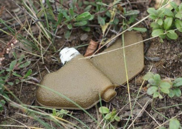 Лети-лети «Лепесток» от запада на восток: ВСУ усеивают коварными минами населённые пункты Харьковщины и Донбасса