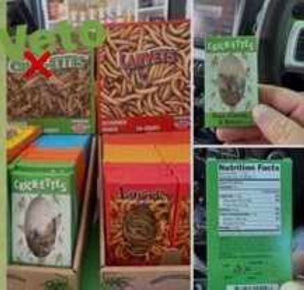 Какое будущее готовит Запад