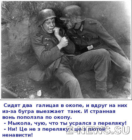 Мыкола усрался под Бродами