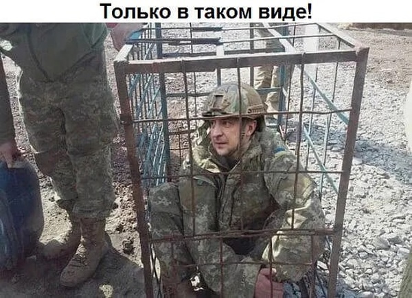 Красные линии жёлто-синего Зеленского. Владимир Скачко