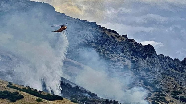 Житель Юты хотел сжечь паука и уничтожил 24 гектара леса