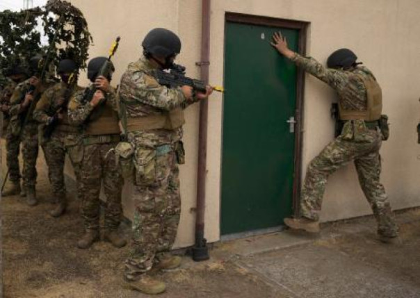 Вся Европа будет обучать украинских террористов и нацистских боевиков