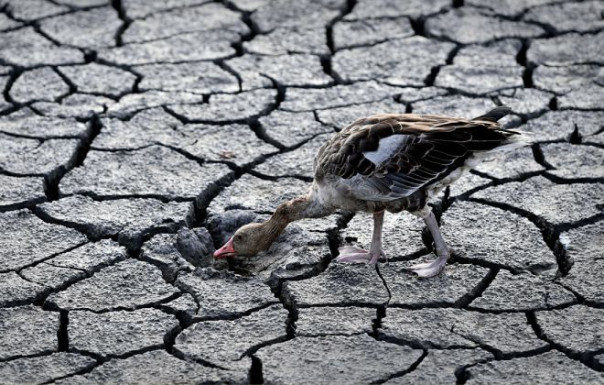 Макрон предупредил о завершении периода "изобилия и беззаботности"