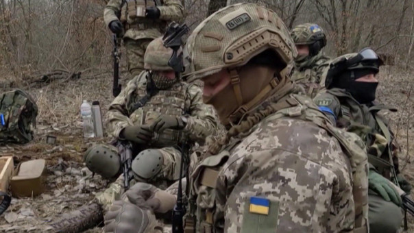 Мнения западных стран об исходе конфликта Украины с Россией разделились