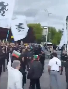 В Софии болгары окружили свиномитинг и включили Газманова