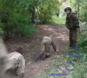 Боевики ВСУ пошли в атаку на Запорожском направлении: выжившие на четвереньках ползут в плен