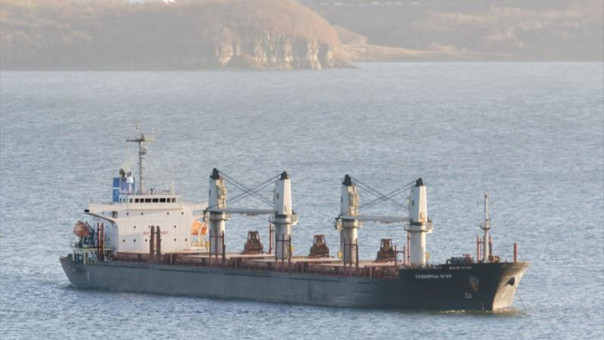 Судно с Украины заблокировало движение в проливе Босфор