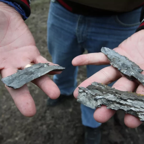 Киев открыл огонь по селу в Брянской области