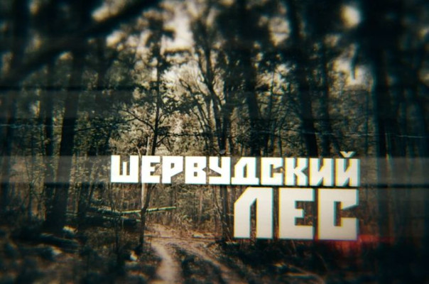 "Шервудский лес". Как союзные силы освобождают стратегически важный лесной массив под Славянском