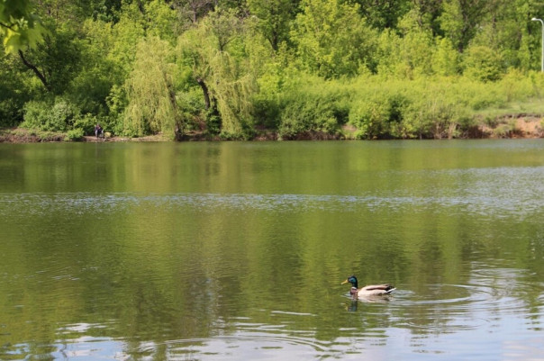 Ликвидация украинских ДРГ, овощи из Херсона, возведение переправы на юге. Что было в ДНР 10 сентября