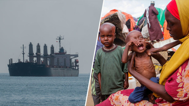 «Не решает гуманитарных проблем»: как западные страны пытаются заработать на зерновой сделке