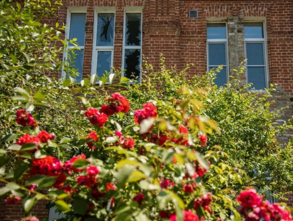 Украинские войска обстреляли поселок Теткино в Курской области