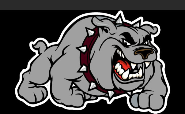 Бульдоги русофобии и их местная подтанцовка. Юрий Селиванов